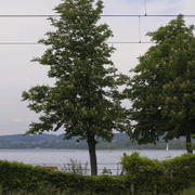 0069 Bregenz (Březnice) - Bodensee (Bodamské jezero).JPG