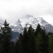 0439 Grütschalp - Bernské Alpy, Jungfrau.JPG