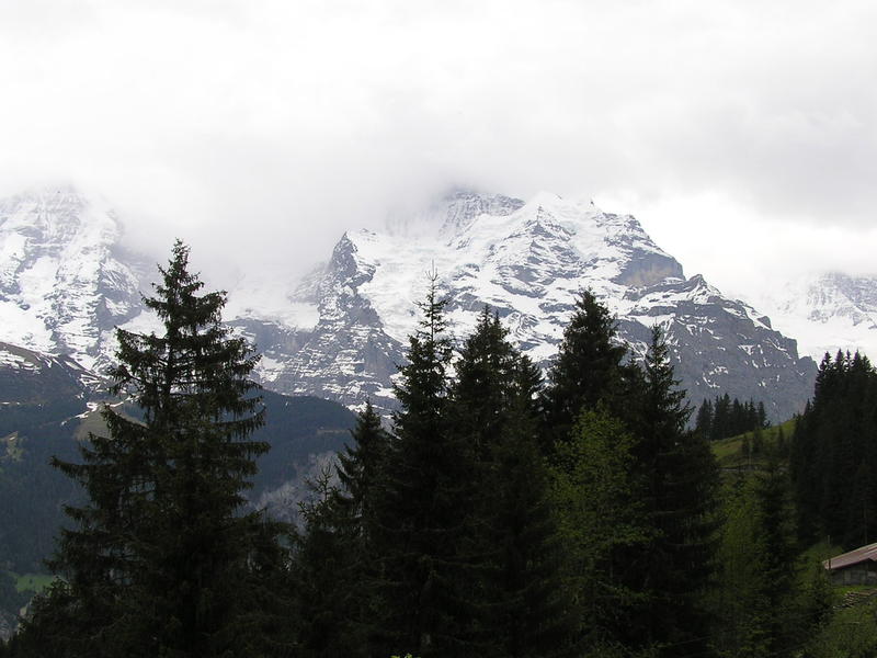 0439 Grütschalp - Bernské Alpy, Jungfrau.JPG