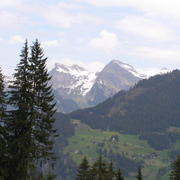 0436 Grütschalp - Bernské Alpy.JPG