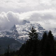 0418 Grütschalp - Bernské Alpy, Jungfrau.JPG