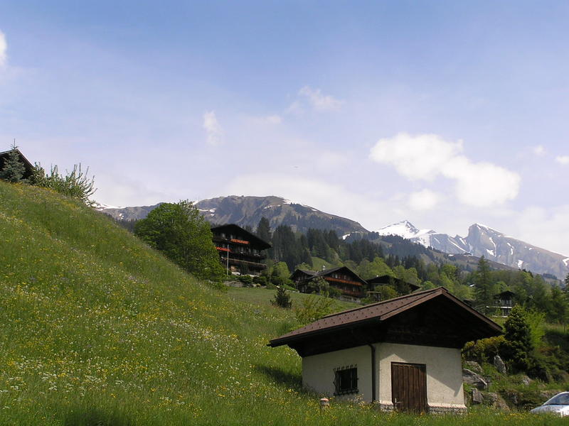 0405 Grindelwald - Bernské Alpy.JPG