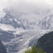 0402 Grindelwald - Bernské Alpy.JPG