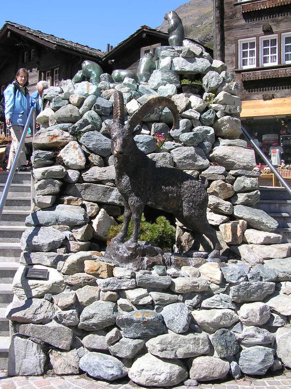 0271 Zermatt - kamzík.JPG