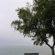 0049 Ženevské jezero.JPG