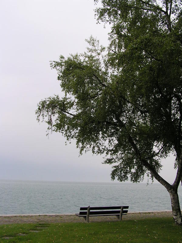 0049 Ženevské jezero.JPG