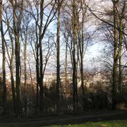 052 Bielefeld - Johannisberg _J_nsk_ hora__ park.JPG