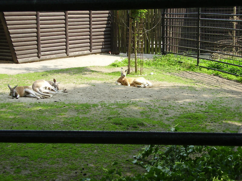 P1010154.JPG