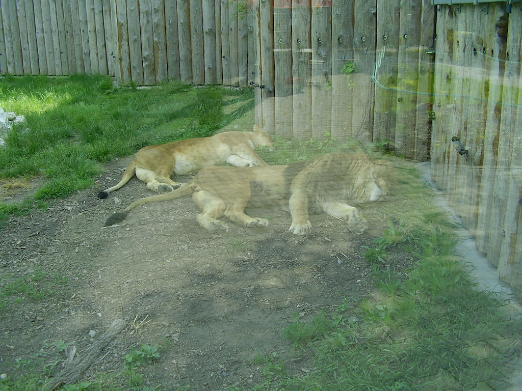 P1010228.JPG