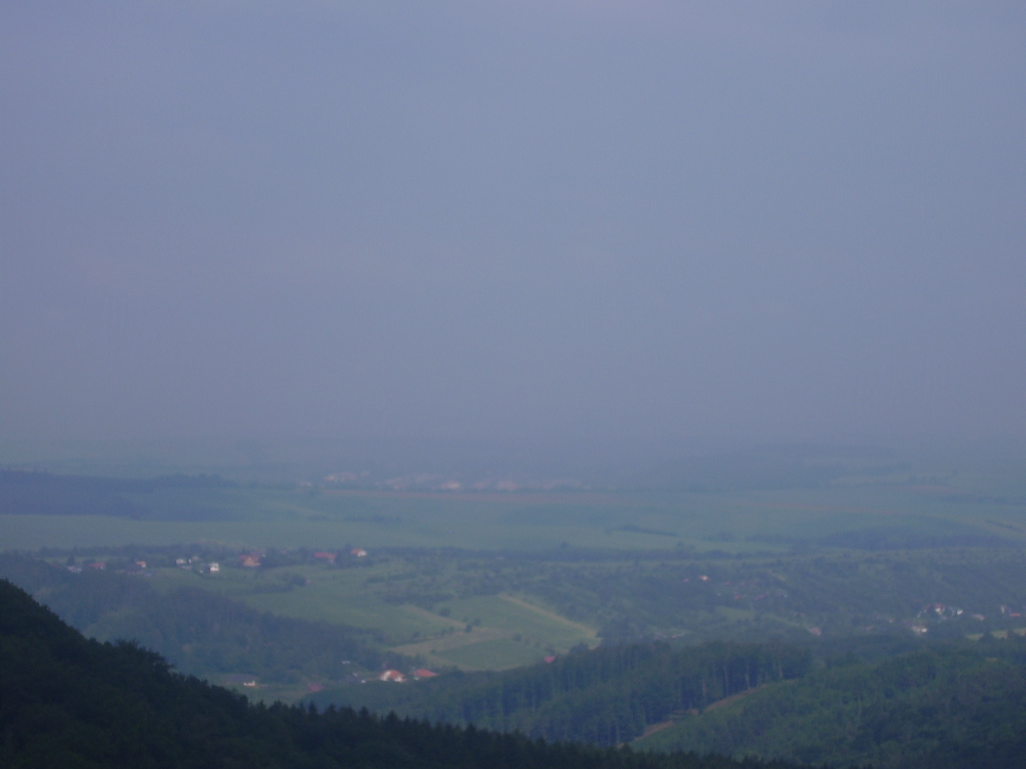 P1010329.JPG