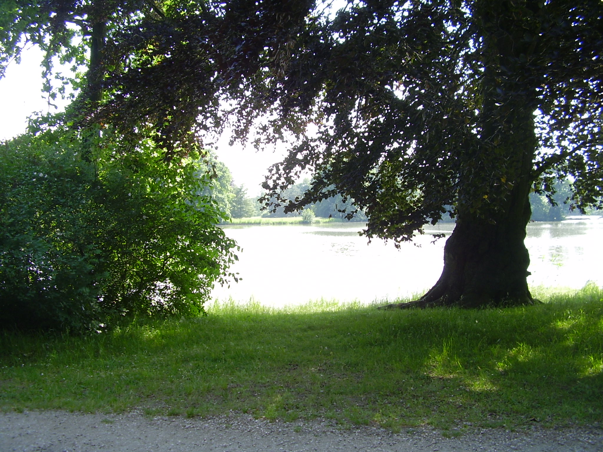 P1010529.JPG