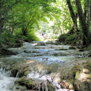 IMG_1389.JPG