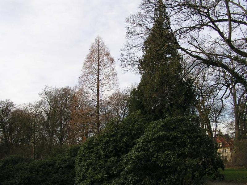 0064 B_ckeburg - Schlossgarten _Z_meck_ zahrada_.JPG