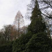 0064 B_ckeburg - Schlossgarten _Z_meck_ zahrada_.JPG