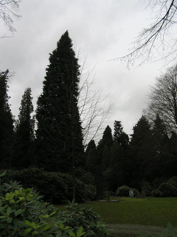 014 Bielefeld - Johannisfriedhof _J_nsk_ h_bitov_.JPG